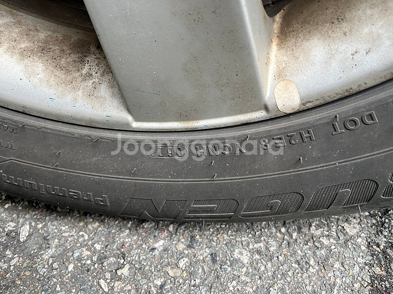 2555518 .타이어--1