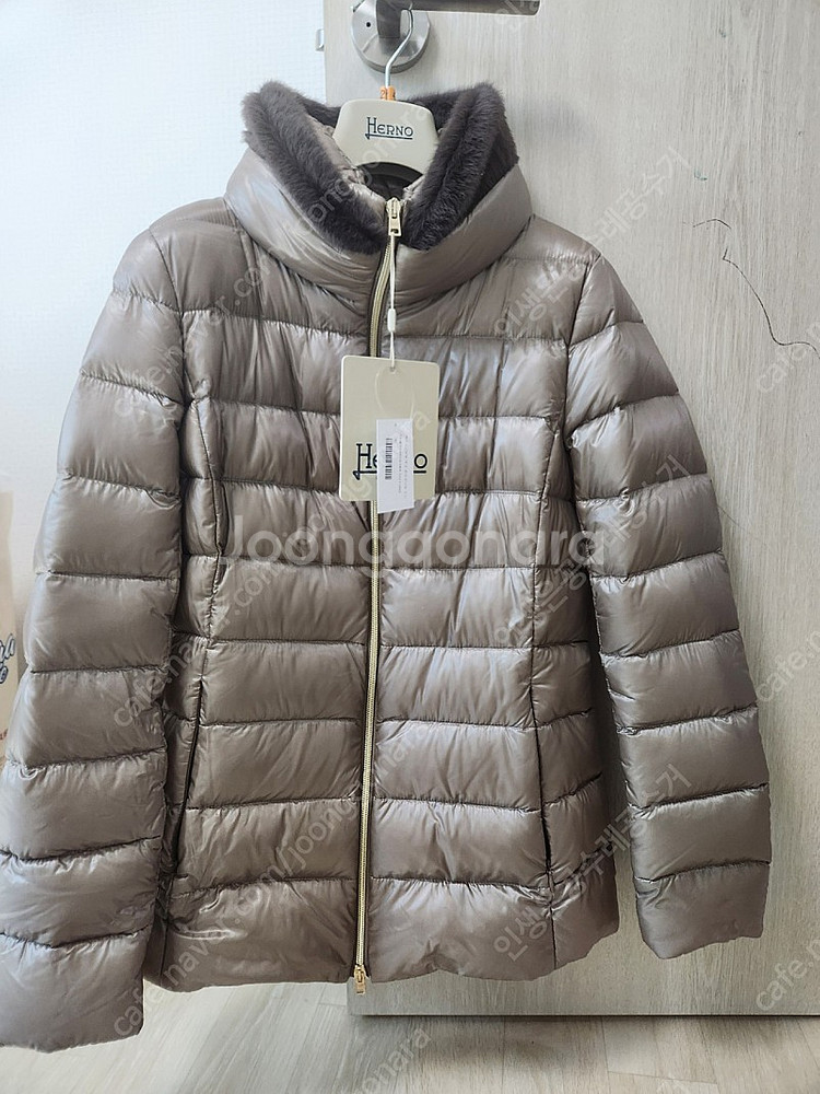 에르노 23fw 클라우디아--0