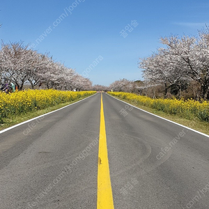 i40 12년식 13핀 헤드라이트 운전석 조수석 삽니다