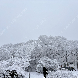 한화이글스 주말 시즌권 4연석 구해요