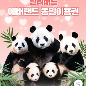 에버랜드 ~3/24
