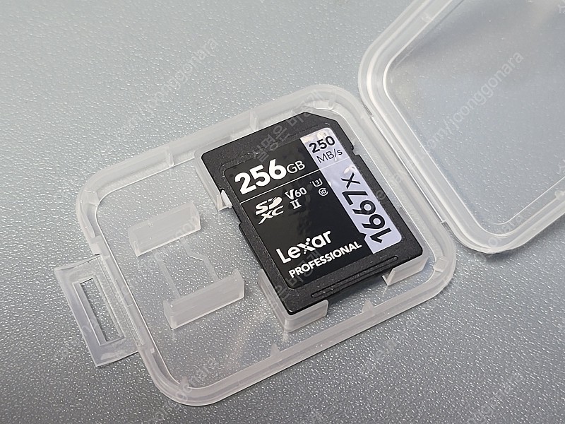렉사 프로페셔널 1667x 256GB SDXC UHS-II 메모리 카드
