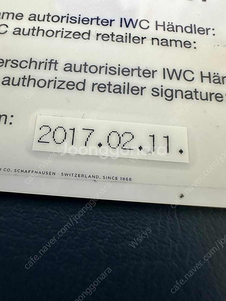 iwc 포르토피노--6