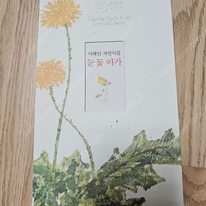 이해인 자연시집 눈꽃 아가