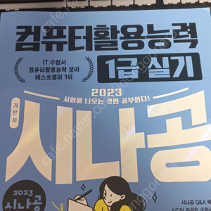 컴퓨터활용능력 1급 실기 시나공 컴활