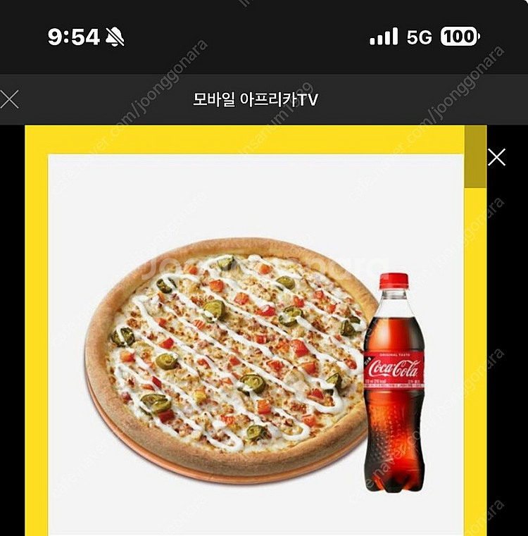 파파존스스파이시 치킨랜지L+코카콜라500ml 팝니다.--0