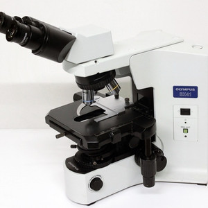 OLYMPUS 올림푸스 BX41 현미경