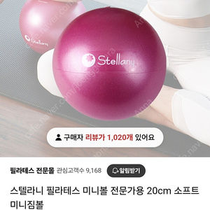 스텔라니 필라테스 미니볼 전문가용 25cm