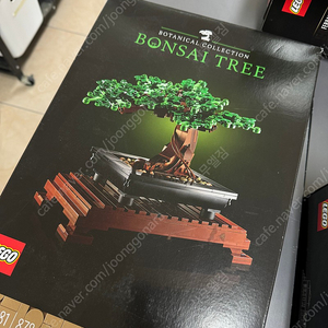 레고 10281 분재 나무 미개봉 판매합니다.