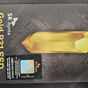 SK하이닉스 GOLD P31 NVMe SSD 500GB