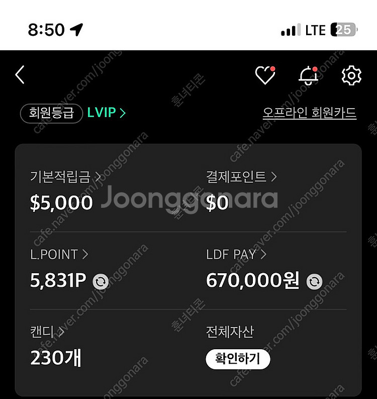 LDF 페이 66만원 팝니다--0