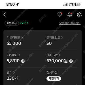 LDF 페이 66만원 팝니다