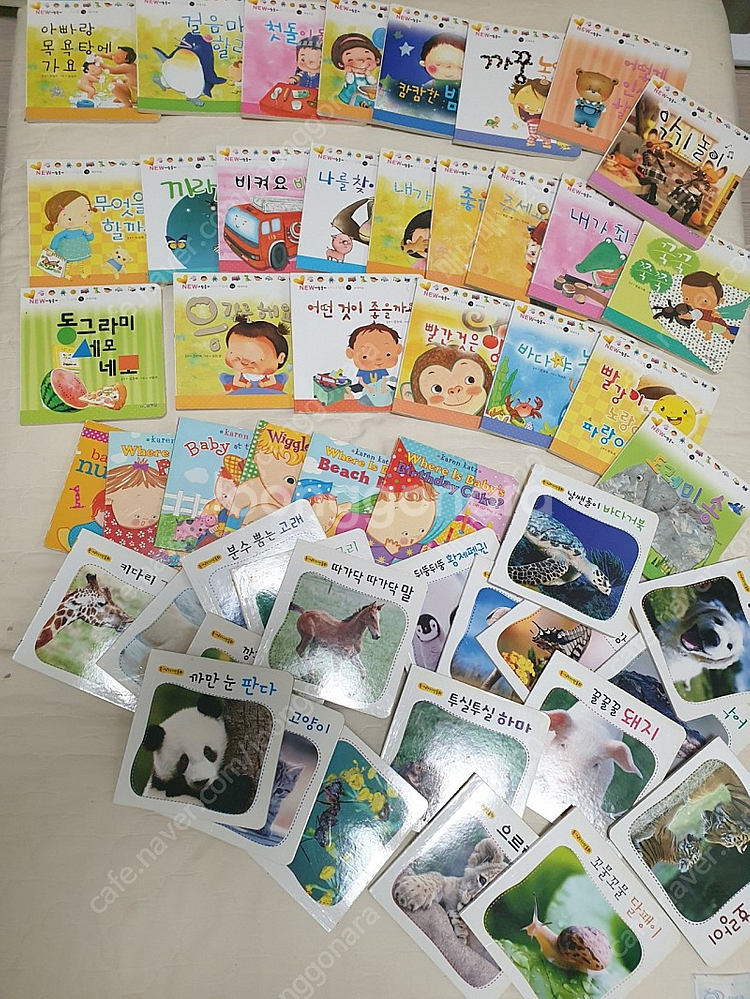 뉴사랑둥이 24권--0