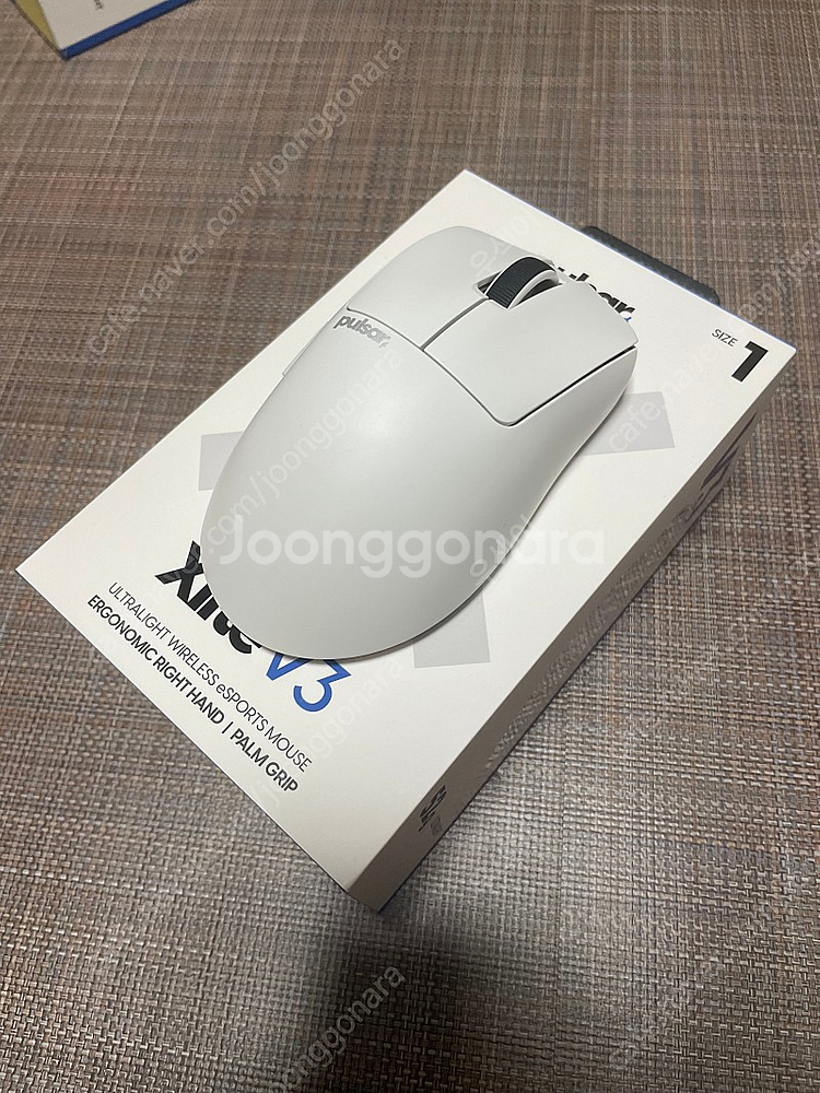 펄사 Xlite v3 mini (펄브삼 미니) 화이트 ...--0
