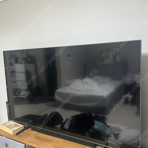 삼성전자 QLED 4K 75인치 TV팝니다.