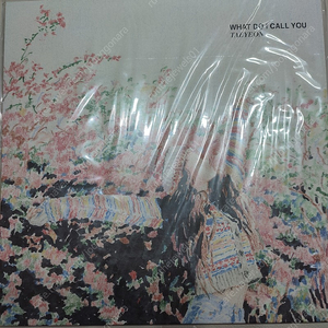 태연 - 미니 4집 What Do I Call You (45rpm LP)