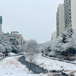 반영구 잔흔 모델 구합니다(눈썹잔흔, 입술 어두운 분)