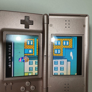닌텐도 ds lite + 와리오칩
