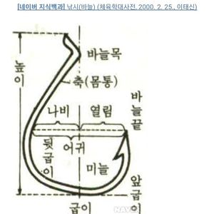 # 선상 갈치 # 돌돔 원투 NFT 17 D‐525 미사용품