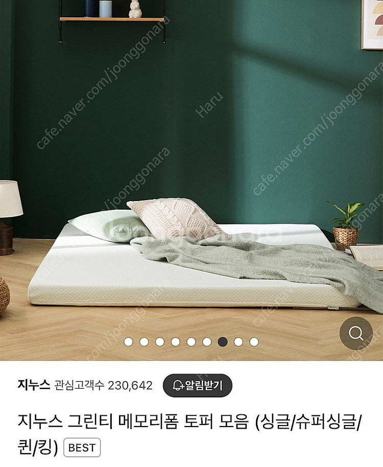 지누스 그린티 메모리폼 토너 퀸--0