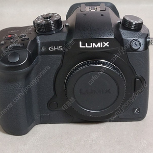 파나소닉 GH5 팝니다.