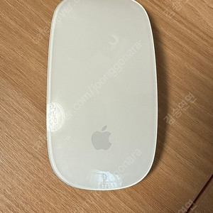 애플 매직마우스