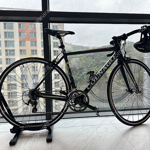 콜나고 자전거 COLNAGO CLX, 시마노 울테 풀카본 점검완료 오늘 찍은 사진