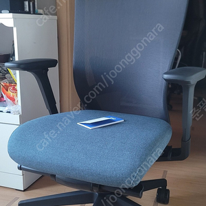 새상품 시디즈 T50 블랙 좌판 딥그린 컴퓨터 책상 의자 HLDA 풀옵션