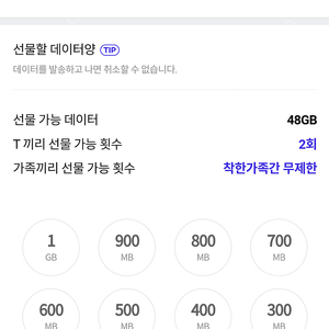 에스케이티 데이터