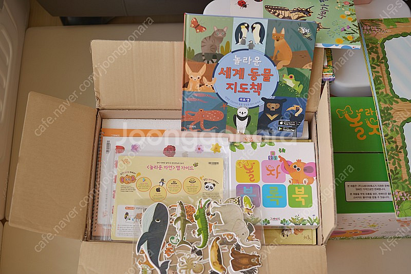 놀라운자연--1