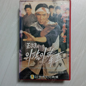 홍콩영화 왕우 주연 왕우의 외팔이 권왕(원제 : 독비권왕 / 獨臂拳王 / One Armed Boxer)(1971) 비디오 테이프