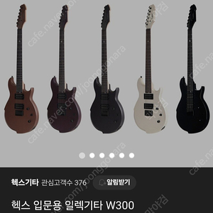 헥스 w300 일렉기타 입문용 미사용제품 팝니다