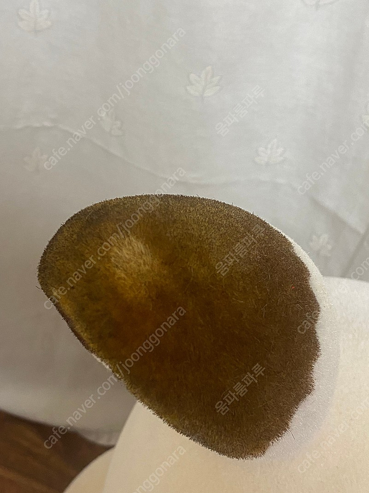 자이언트 실바니안 80cm 이미지