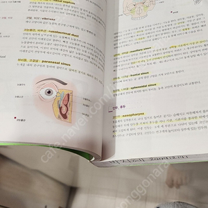 알기쉽게풀이한 의학용어