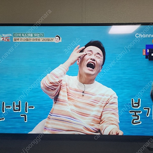 55인치 UHD (4K) TV 팝니다 중소기업 토너먼트