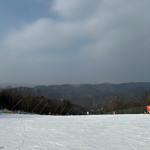 3월22일~3월24일 2박 제주도 롯데/그랜드조선/신라호텔 숙박권 삽니다