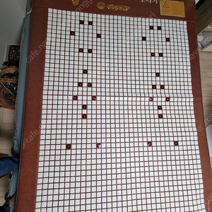 비겐의료기 VLP-9600 온열매트