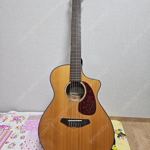 breedlove pursuit nylon 기타