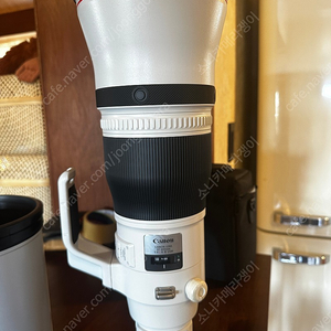 ef 600mm f4 is iii 판매