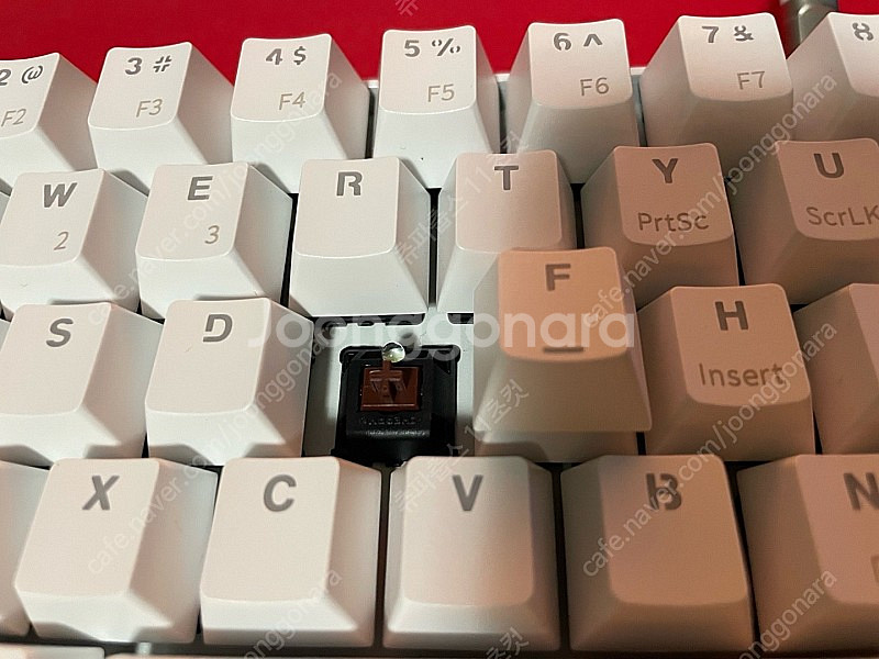 로얄클루지 RK61 포커배열 체리갈축 키보드--0