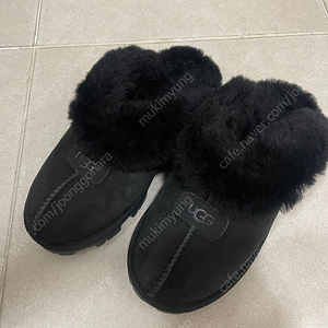 정품 미국 어그 ugg 코게트 코케트