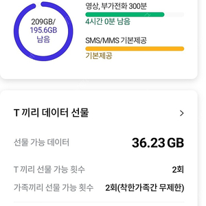 SKT데이타 1기가