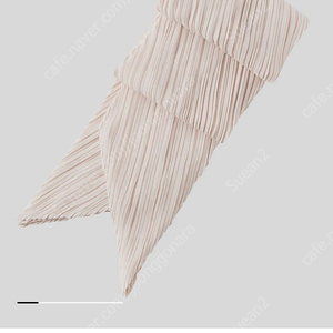 PLEATS PLEASE ISSEY MIYAKE 스카프