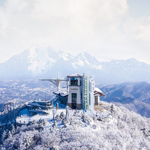 용평리조트 올인클루시브3월4월~딥다이브+발왕산케이블카+애니포레+조식