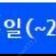 에버랜드 자유이용권 B구간 (~3.31) 급매