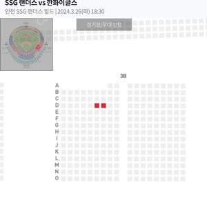 3/6 한화 vs SSG 응원지정석 2인 (맨앞)