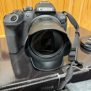 캐논 EOS R10