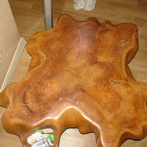 뿌리 원목 테이블