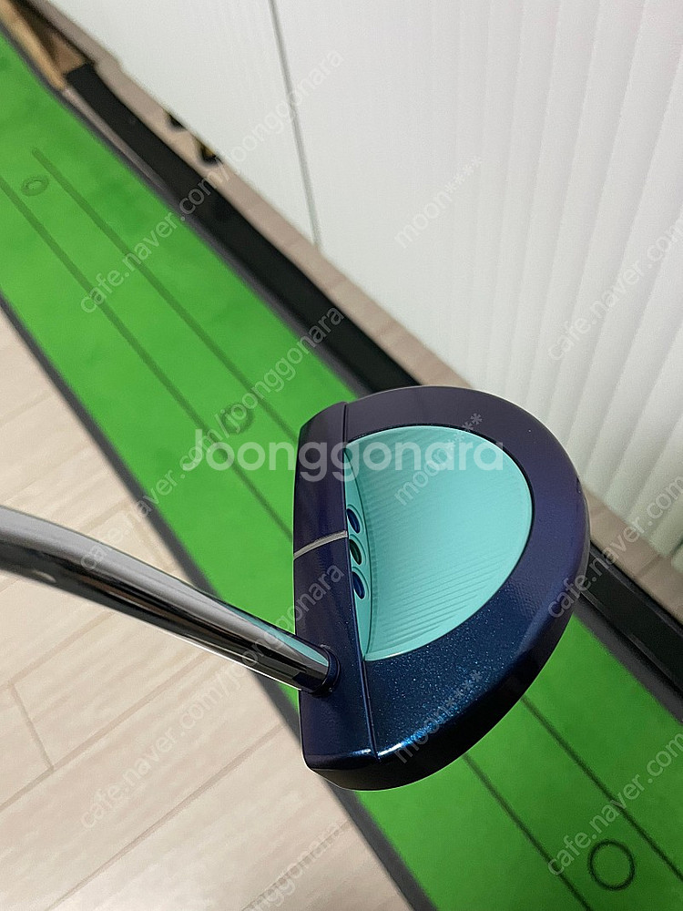 스카티카메론 퓨츄라 5CB 아쿠쉬 정품--3
