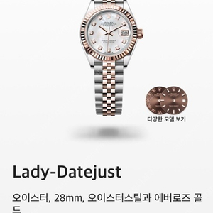 (최신새상품) 데이저스트28 로즈골드 자개판 10p